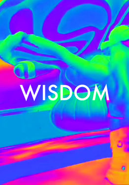 Wisdom