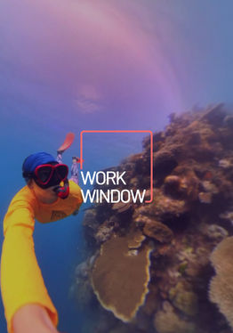 Work Window