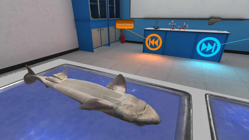 Dissection Simulator: Shark Edition