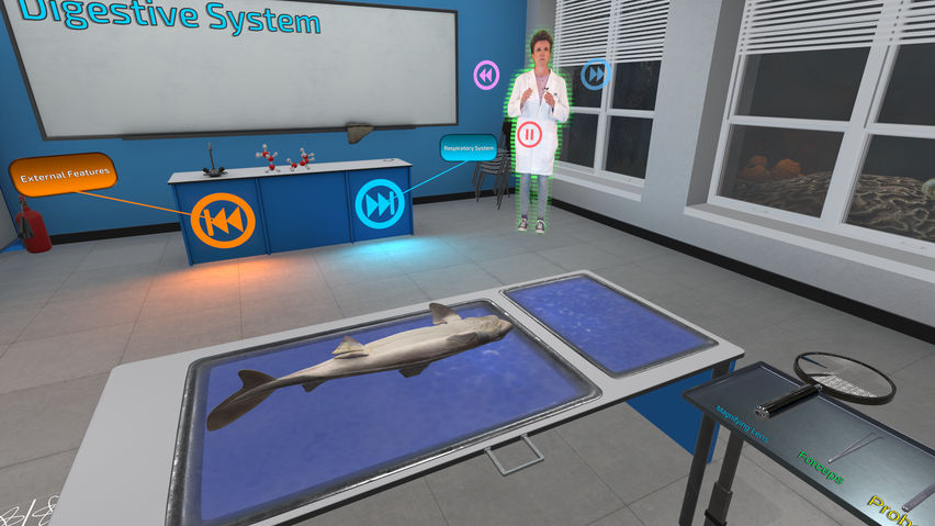 Dissection Simulator: Shark Edition