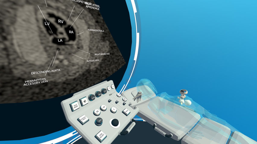 Fetal Heart VR