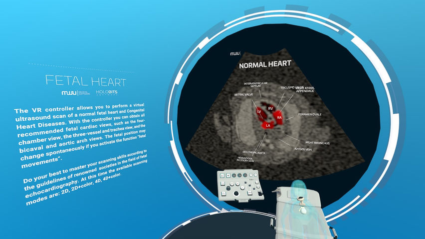 Fetal Heart VR