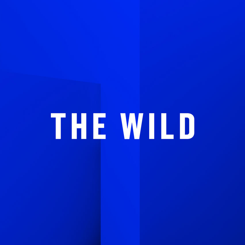 The Wild - App Lab