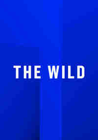 The Wild - App Lab