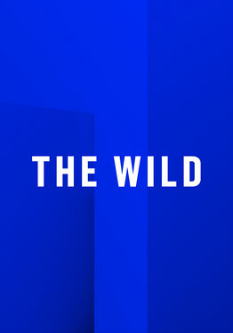 The Wild - App Lab