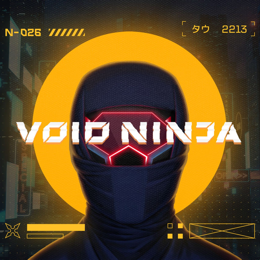 Void Ninja