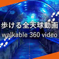 Walkable 360 Video