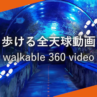 Walkable 360 Video