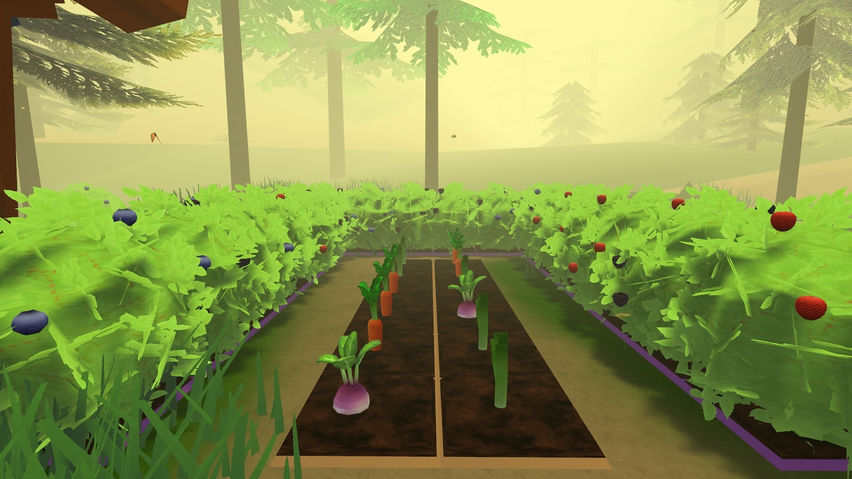 Forest Farm Demo