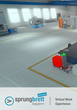 Virtual Work Experience