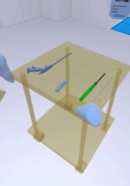 TagmaQuest Endoscopy