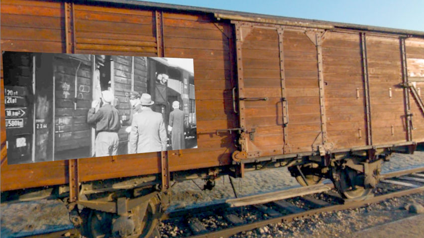 The Eva Holocaust Experience - Historic Tour of the Auschwitz Concentration Camp
