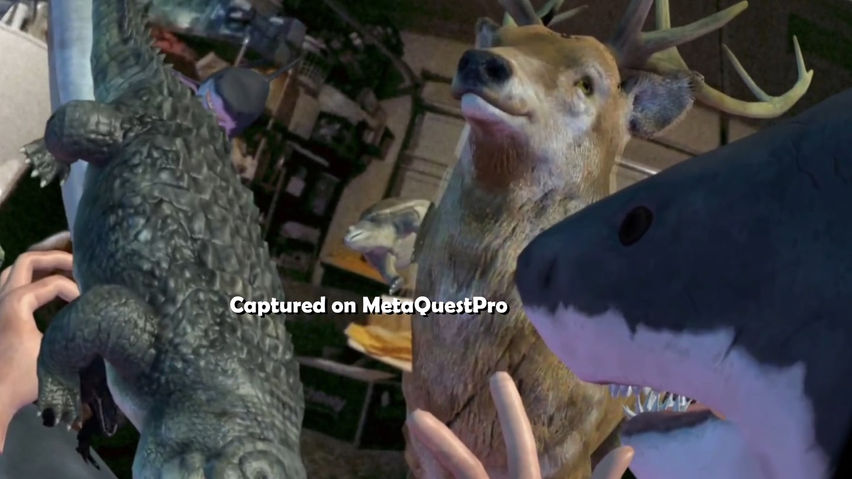 Animalz Mixed Reality