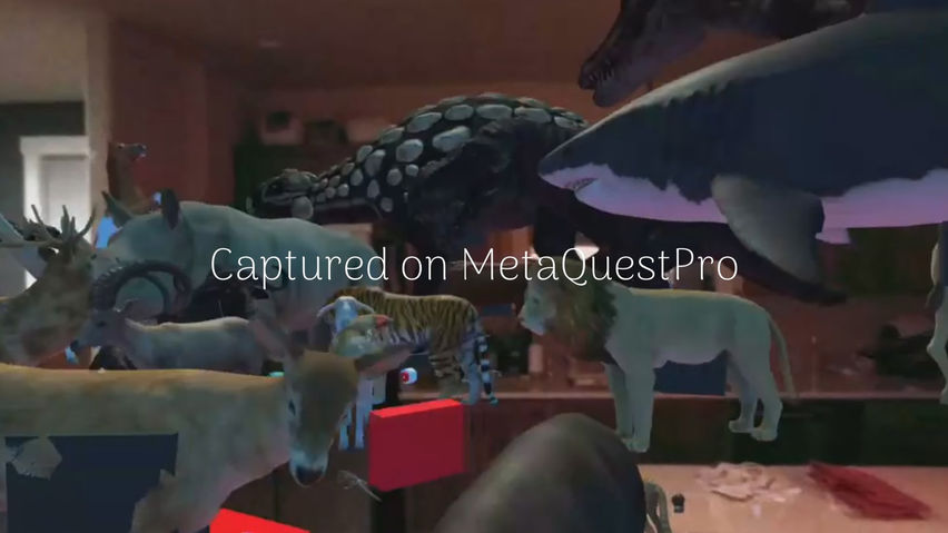 Animalz Mixed Reality