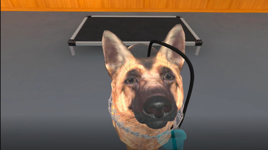 Top Tier K9